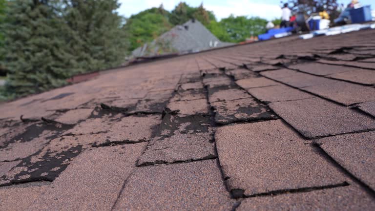 Best Slate Roofing  in Eudora, AR