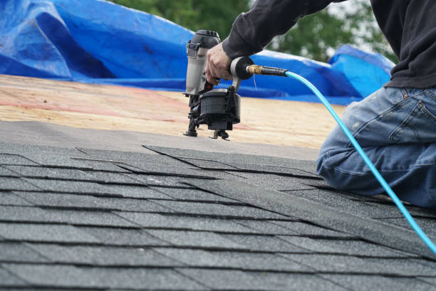 Best Roof Moss and Algae Removal  in Eudora, AR